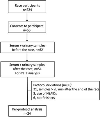 Ultramarathon and Renal Function: Does Exercise-Induced Acute Kidney Injury Really Exist in Common Conditions?